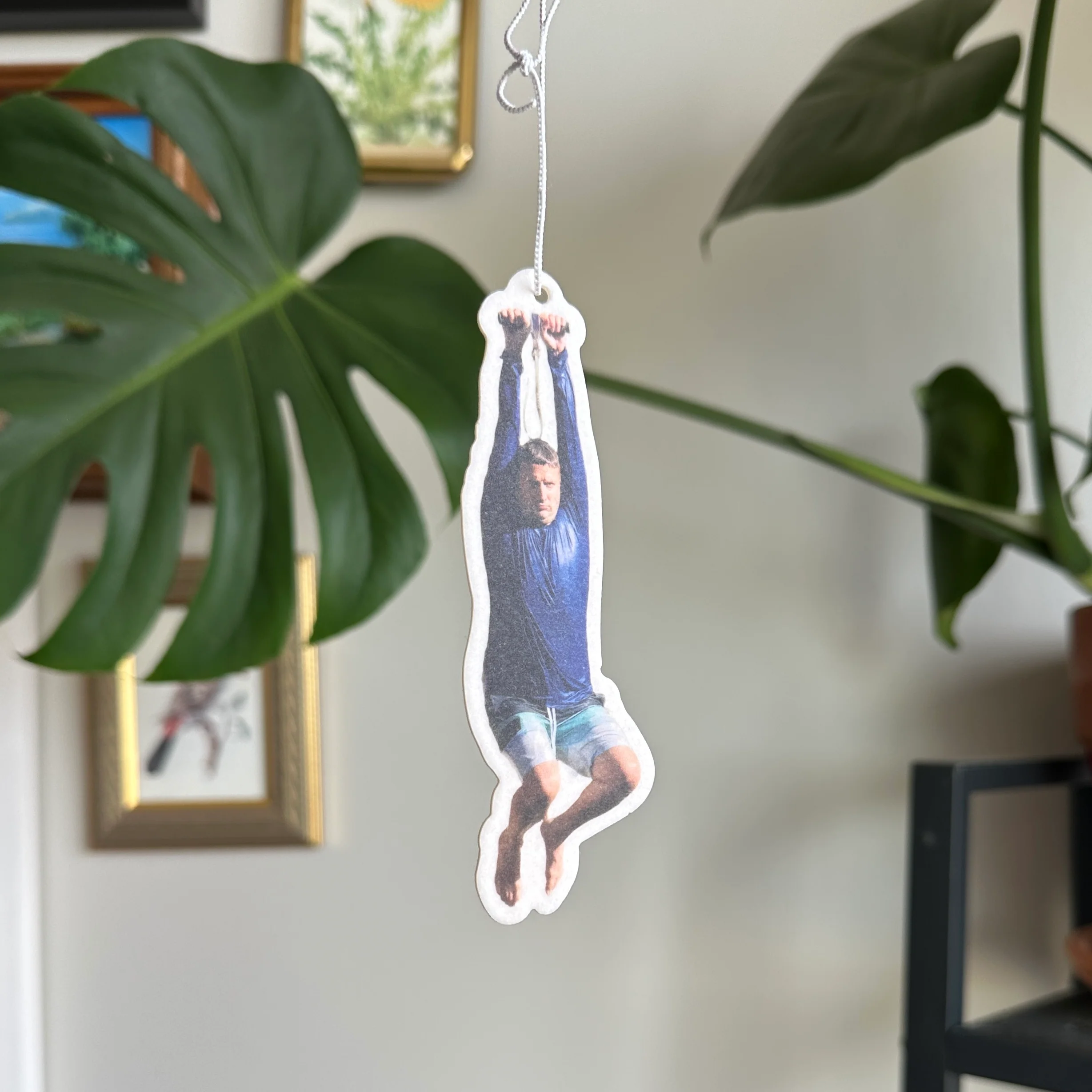 Zipline Ronnie Air Freshener - Image 8